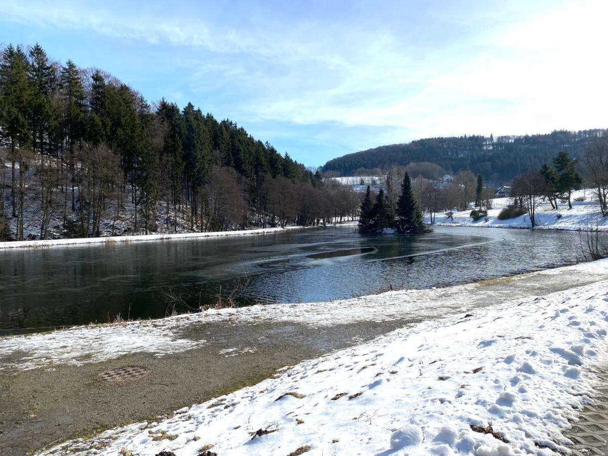 Apartment Stylisches ✰ Skywalk ✰ Mit Parkplatz Willingen (Upland)